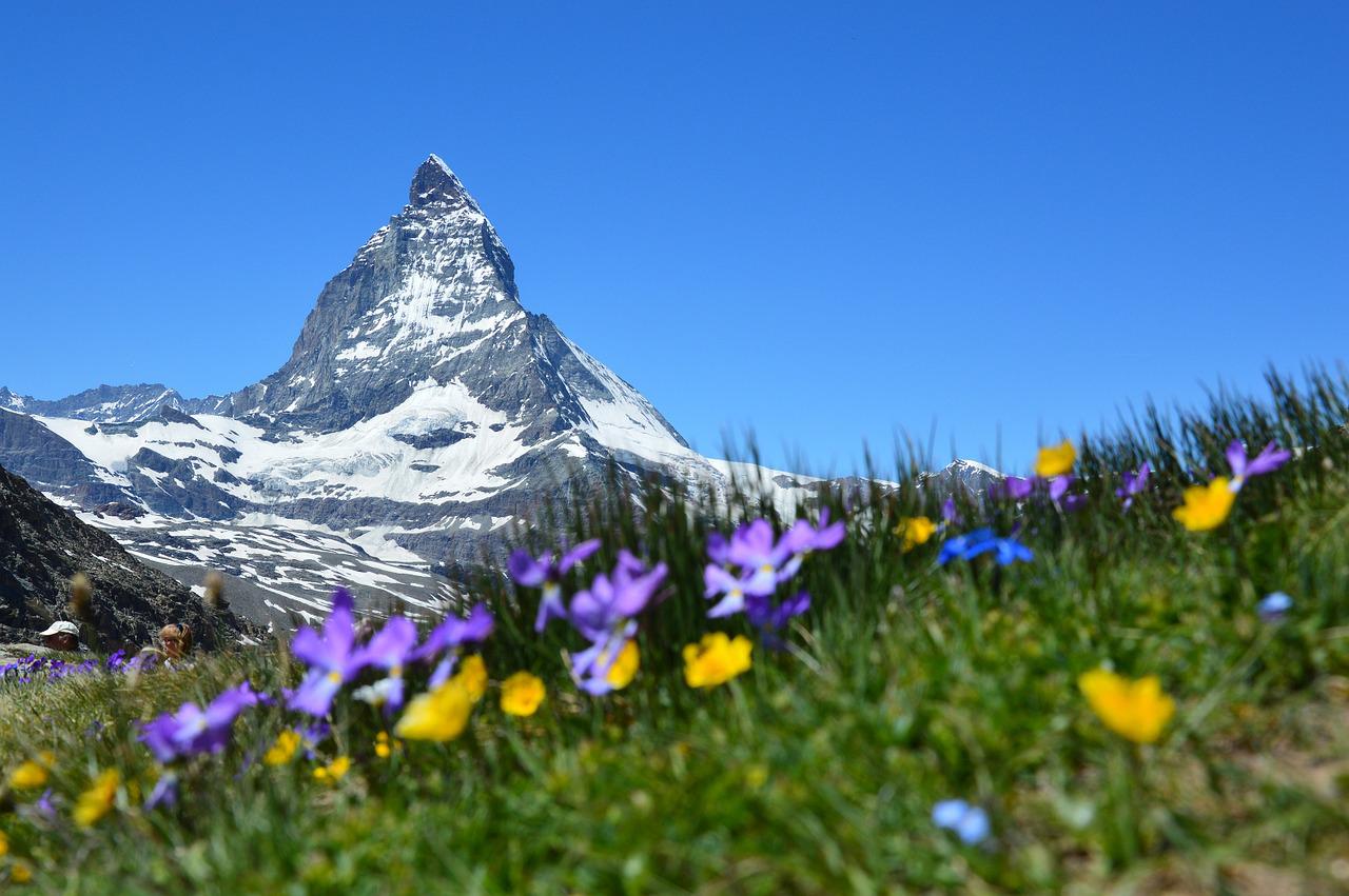 mountains-gbd92a8d03_1280 Domiziladresse Firmenadresse Schweiz